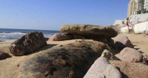 El cuerpo del león marino permanece en la playa. Foto: Noroeste 