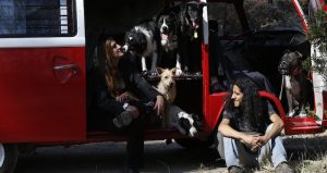Mariam Gutiérrez de Velasco y Jair Benavides se sientan con sus perros durante una excursión al bosque de Chapultepec en Ciudad de México. Foto: Marco Ugarte, AP