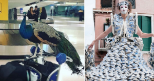 Discutió por más de seis horas con el personal del aeropuerto y perdió su vuelo. Fotos: Instagram