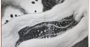 Ramon Alejandro, ilustraciones para Cuerpos en Bandeja, 1998. Foto: RAM
