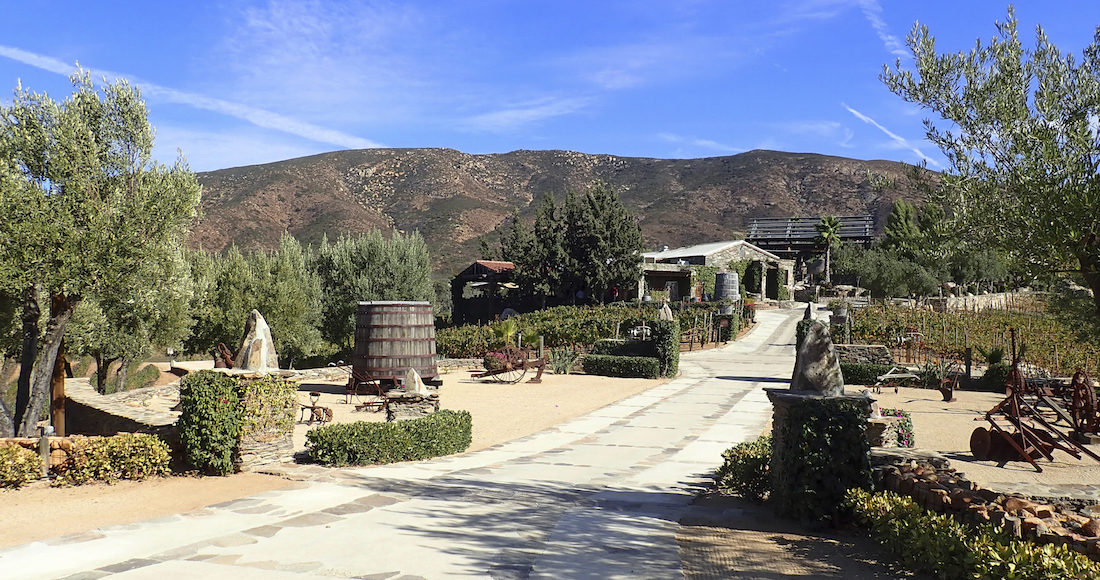 Valle de Guadalupe, una joya vinícola escondida en el lado mexicano de