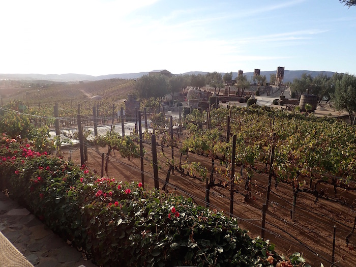 Valle de Guadalupe, una joya vinícola escondida en el lado mexicano de
