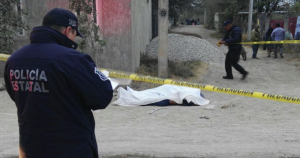 La mujer fue asesinada por su pareja, pese a que ella había denunciado la violencia de la que era objeto. Foto: Pulso. 