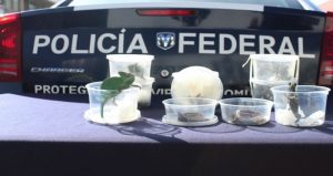 El resguardo se hizo al interior del Aeropuerto Internacional de SLP. Foto: Pulso. 