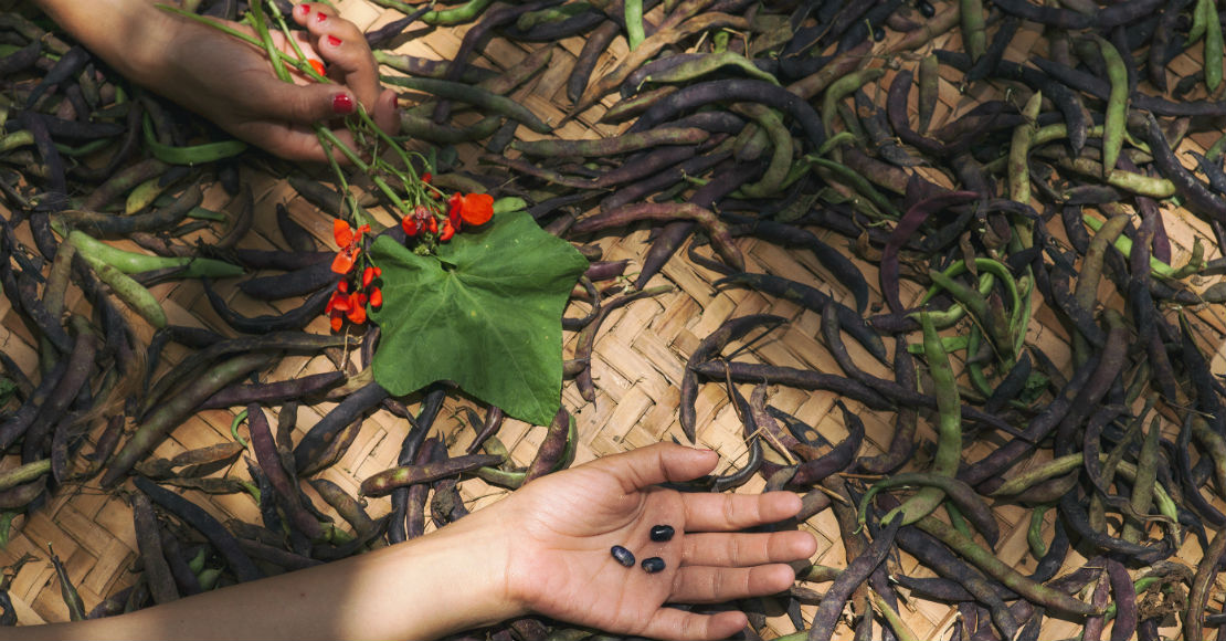 Tetela de Ocampo, Sierra norte de Puebla, 2016. Fotografía: D.R.@ Juan Pablo Carmona / Artes de México, 2018.