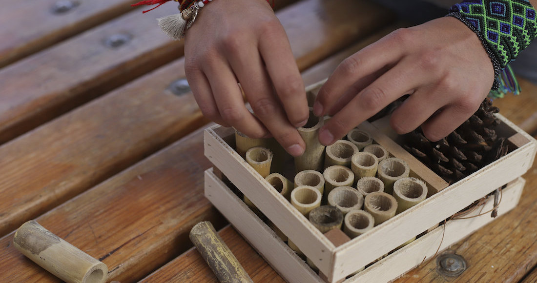 Jóvenes construyen hoteles para abejas con intención de retribuirles un poco del daño que los humanos han hecho a sus lugares de anidación mediante la tala de árboles y la expansión de las ciudades hacia el campo. Foto: EFE