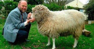 La existencia de la oveja no se divulgó hasta 1997, cuando los expertos estuvieron seguros de que estaba sana e iba a sobrevivir. Foto: Twitter / @TNETok
