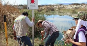 Según el análisis, una minera de más de 60 años en ruinas fue la causante principal de la liberación en grandes cantidades del elemento. Foto: Pulso