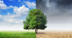 La ganadería industrial es una de las industrias más destructivas para el medio ambiente. Imagen: Shuterstock