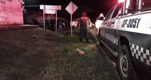 Foto: Plumas Libres.