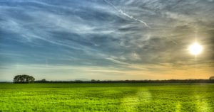 "Dejar a los animales fuera de nuestro plato es la mejor decisión que podemos tomar si realmente nos importa proteger el planeta". Imagen: Especial