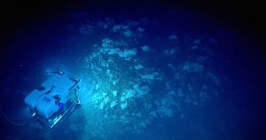 Expedición a lo profundo del golfo de México. Foto: oceanexplorer.noaa.gov