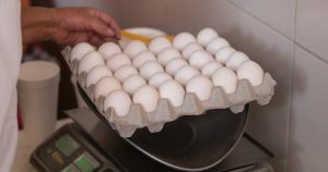 Es importante que si decides comer huevo, estés informado cómo fue producido. Foto: Adolfo Vladimir, Cuartoscuro