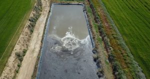 Uno de los hallazgos más sorprendentes del estudio es el gran impacto que las piscifactorías o granjas de peces tienen en el medio ambiente. Foto: Cortesía igualdad Animal