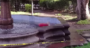 El hallazgo ocurrió frente a Palacio de Gobierno y Congreso del Estado, dentro del agua y boca arriba. Foto: Pulso