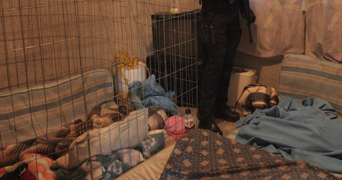 Foto: Cuartoscuro/Archivo