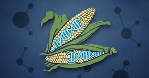 Alimentos del futuro. Foto: TICbeat