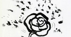 Historia Natural. Foto: RADM