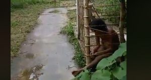 La mujer parece comprender lo que le dicen, mas no puede responder.
Foto: captura de pantalla.