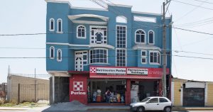 Las casas se caracterizan por sus formas sin patrones establecidos o uniformes.
Foto: Adam Wiseman.