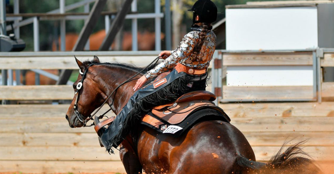 De la escritora de Me llamo Lucy Barton SinEmbargo MX