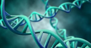 El ADN puede mostrar la esperanza de vida de una persona. Foto: Especial