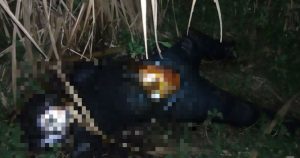 El cuerpo de la joven fue localizado en un canal de Tlacotalpan. Foto: Plumas Libres 