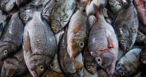 El pescado podría usarse como arma de negociación geopolítica.(Imagen ilustrativa) Foto: EFE