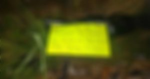 Secuestradores matan a otra mujer porque no pagaron rescate. Veracruz no reposa