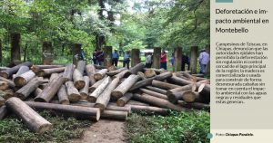 Las lagunas de Montebello están en peligro: talan árboles, ponen cabañas y vierten aguas negras