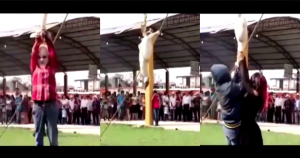 Cabe recordar que la “despescuezada” es un ritual que forma parte del Carnaval de Paso Blanco, el cual se realiza desde hace más de 100 años, de acuerdo con Alcalde de Misantla. Foto: Especial