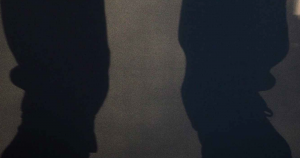 Portada de Caminante en la sombra. 