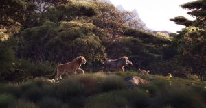 El nuevo tráiler del Rey León deja ver más sobre la historia del clásico del Disney. Foto: Especial 
