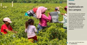 Agricultores de SLP explotan a niños indígenas hasta 15 horas diarias, consigna Gobierno de EU