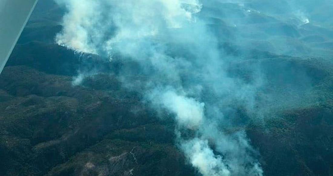 Afectadas por incendios más de mil hectáreas en Valles y Rioverde: PC. Foto: Pulso