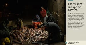 Ya son pocos en México, pero los Cucapás resisten con la pesca a la indiferencia de los gobiernos