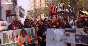 Una de las manifestantes dijo que la protesta fue realizada para exigir justicia en el caso del perrito asesinado por su dueño y otros casos que sólo se han quedado en carpetas. Foto: Especial