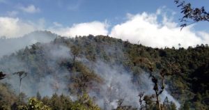 el 26 de marzo se inició un incendio que empezó en el ejido Puerto Rico, la falta de brechas cortafuego hizo que avanzara y poco más de una semana después, el fuego ha consumido más de 130 hectáreas. Foto: Chiapas Paralelo. 