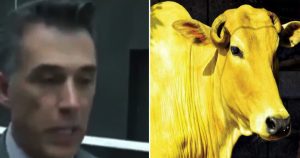 “Por supuesto que el tema de la vaquita amarilla a todos nos preocupa, es una especie que está a nada de la extinción y que es lamentable”, dijo. Imagen: Especial.