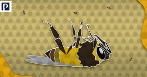 La pérdida de las abejas sucede en un tasa ocho veces más grande en comparación con mamíferos o aves. Ilustración: Proyecto Puente