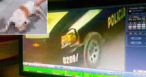 El hecho ocurrió la tarde del pasado 24 de mayo. Foto: Pulso.