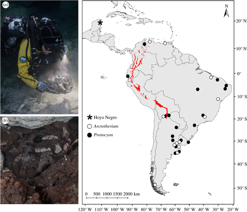 RecuperaciÃ³n de muestras en Hoyo Negro y mapa que muestra las ubicaciones. Fotos: Roberto ChÃ¡vez-Arce