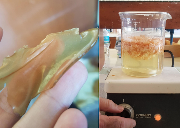 Los desechos de camarón pasan por un proceso químico del que se obtienen las sustancias para formar bio plástico. Fotos: Cortesía