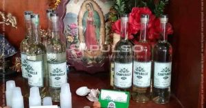 Foto: Adriana Ochoa, Pulso