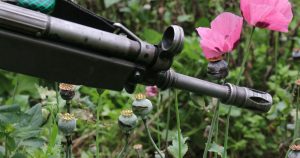 Los retrasos en la entrega del fertilizante subsidiado por el Gobierno son apenas un dolor de cabeza más para los agricultores en la meca de la amapola en México, quienes ya sufrieron el duro golpe de la caída en los precios de la heroína por causa del aumento en la producción y la demanda de drogas sintéticas, como las metanfetaminas y el mortal opioide fentanilo. Foto: Jorge Lezama, Cuartoscuro