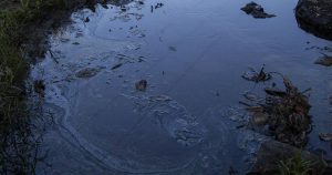 La contaminación del arroyo Los Tejones comenzó hace 4 años. A la fecha ninguna autoridad ha resuelto la filtración de petróleo que afecta a la comunidad de Emiliano Zapata, en Papantla, Veracruz Foto: Duilio Rodríguez, Pie de Página