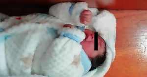 El bebé se encuentra en buenas condiciones de salud. Foto: Plumas Libres.