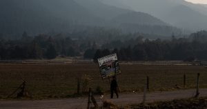 Además de la tala clandestina que persiste en estos bosques, entre sus claros hay casas de seguridad que son usadas por diferentes bandas de secuestro para mantener a las personas que capturan. Foto: Ximena Natera, Pie de Página