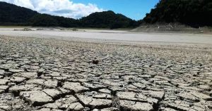 Gracias a la sequía extrema en Chiapas, las lagunas temporales se han visto disminuidas en su capacidad, al punto de secarse, debido a la falta de lluvias durante esta temporada, entre ellas, la Laguna de Metzabok. Foto: Especial vía Chiapas Paralelo


