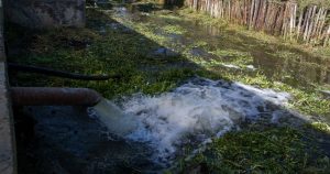 Aunque la mariguana y las metanfetaminas se reportaron como de uso frecuente en todo el país, la cocaína fue de lejos la sustancia más común. Las trazas se recolectaron en más del 90 por ciento de las muestras. Imagen ilustrativa. Foto: Isaac Esquivel, Cuartoscuro